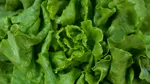 Rețeta de cinci stele de salată verde cu năut, feta și avocado recomandată de The New York Times