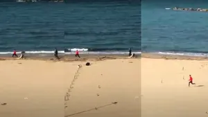 Un bărbat care facea jogging se trezeşte într-o cursă contra cronometru cu poliţia. A fost amendat cu 4000 de euro 