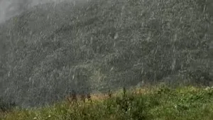 Ninsoare în luna august: Imagini spectaculoase de la munte, din Maramureș