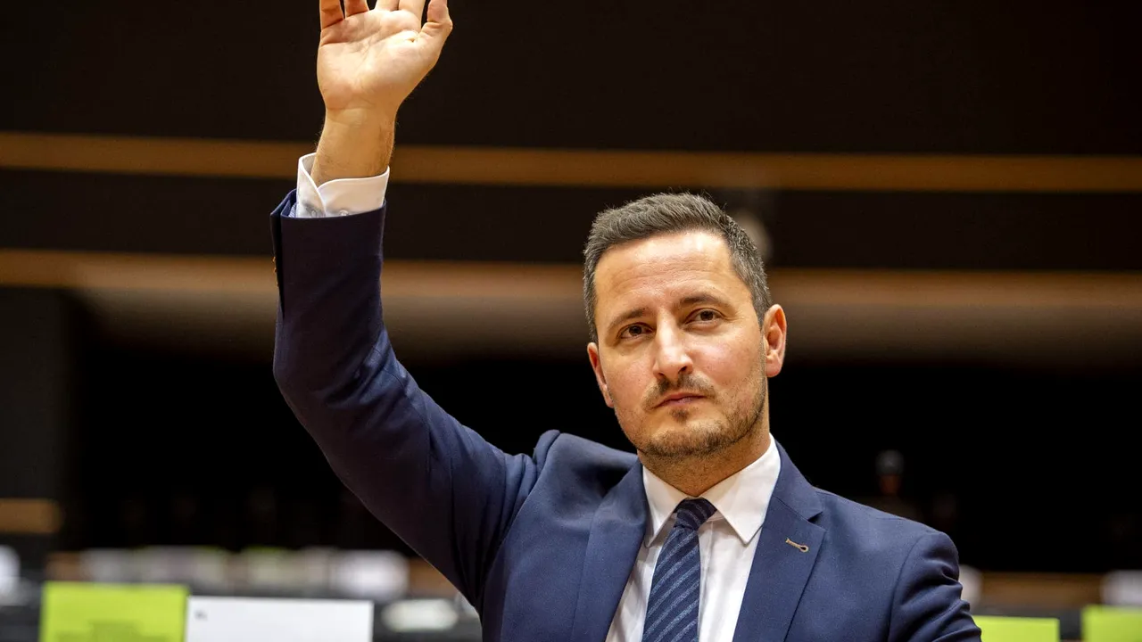 Nicu Ştefănuţă a fost ales candidatul Grupului Verzilor pentru funcţia de vicepreşedinte al Parlamentului European