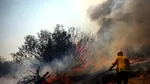Babadag. Incendii de vegetație cuprind culturile de cereale