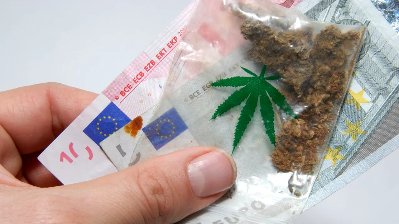 Legalizarea marijuanei. Susţinătorii consumului cannabisului vor să facă un referendum