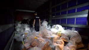 Timiș. Rezultate finale alegeri prezidenţiale, turul I. Cum au votat timișorenii din județ, dar și din reședință