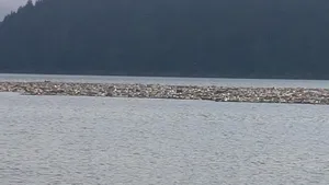 FOTO. Gunoaie pe Lacul Bicaz. PET-urile au făcut un adevărat baraj