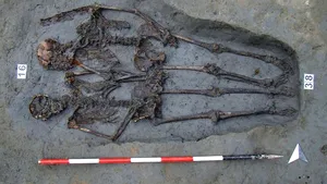 Descoperire surprinzătoare în cazul celebrilor 