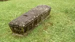 Un mormânt comun antic dezvăluie cum o pandemie a distrus un oraș în urmă cu 1.500 de ani