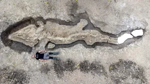 A fost descoperit un ihitozaur, un monstru marin de 10 metri