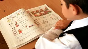 Romanian Senate Committee OKs Teaching History, Geography In Minorities’ Languages