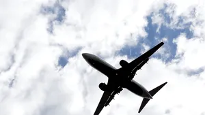 Incident aviatic neobişnuit. Un avion a fost nevoit să aterizeze de urgenţă după ce un cal aflat la bord a scăpat 