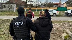 Șase bărbați reținuți în Timiș pentru viol și agresiuni sexuale asupra unor fete de 14 ani