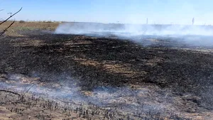 VIDEO | Un nou val de poluare excesivă în Capitală. Bucureştenii reclamă un aer irespirabil / Reacţia Gărzii de Mediu