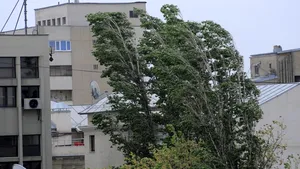 Cod galben de vânt puternic în Dolj și Mehedinți