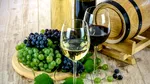 Canicula schimbă producția de vin spumant din Italia. Recolta începe mai devreme și se face noaptea