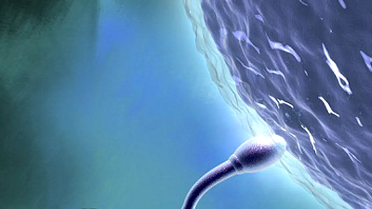 Terapia celulară, o nouă şansă pentru bărbaţii cu probleme de fertilitate