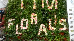 Timişoara: Palmieri, inimi din flori şi un pian învelit în muşchi de pădure, la festivalul Timfloralis - FOTO