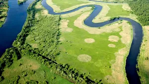 SGS LANSEAZĂ IMPACT NOW PENTRU SUSTENABILITATE