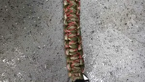 Bărbat polonez aflat sub control judiciar, ridicat de jandarmi de la protestul AUR