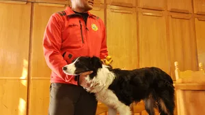 Helios, primul câine din România specializat în salvarea victimelor avalanşelor, a fost donat Salvamont Argeş - FOTO