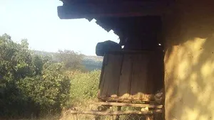 Anchetă după publicarea unei fotografii cu un copil închis într-o cuşcă pentru animale - FOTO
