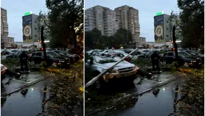 Cod portocaliu de vânt: zeci de copaci și bucăți de acoperiș doborâte în București și Ilfov