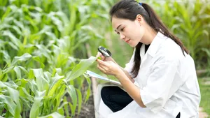 Corteva şi Symborg anunţă un acord privind produsul de fixare a azotului pe bază microbiană