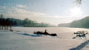 Remus Truică şi Sorin Roşca Stănescu au 