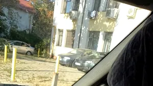 Voluntar Antibiotice pentru DSP, într-o misiune nobilă 