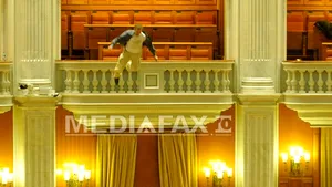 Camera va securiza balcoanele de la sala de plen, pentru a evita cazuri similare cu al lui Sobaru