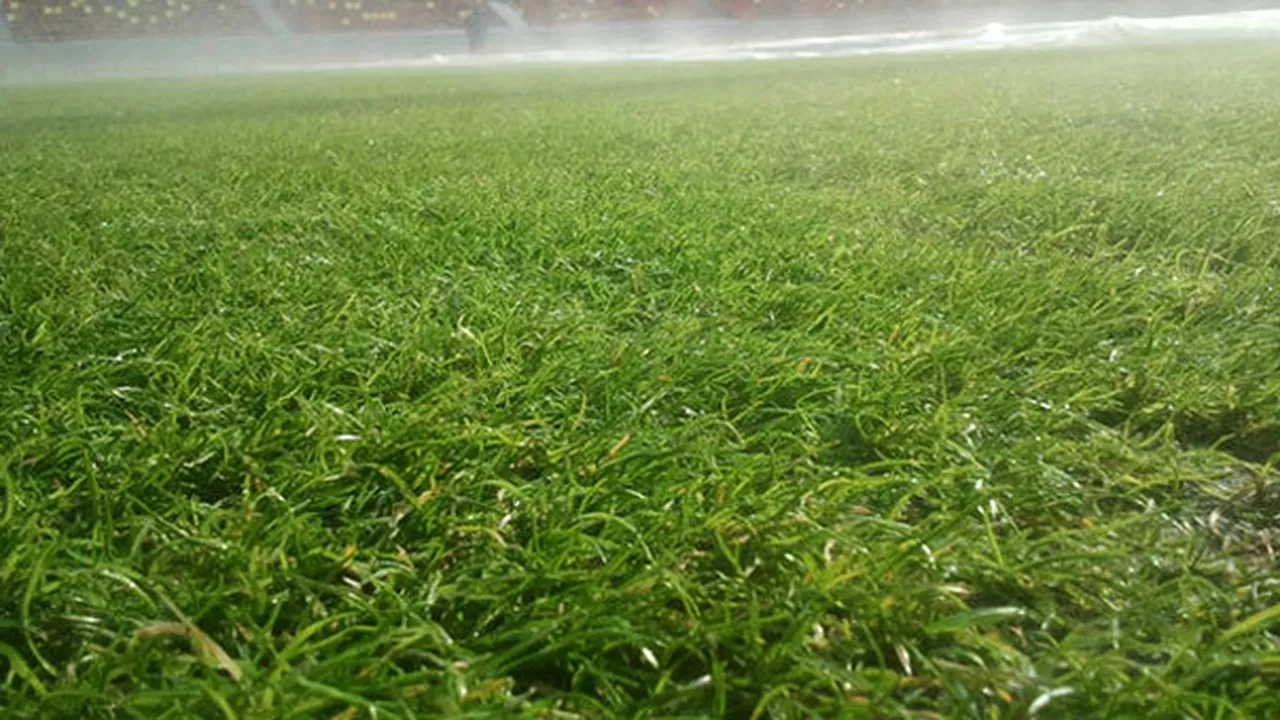 Cum arată gazonul Arenei Naţionale cu o zi înainte de Steaua-Twente - FOTO