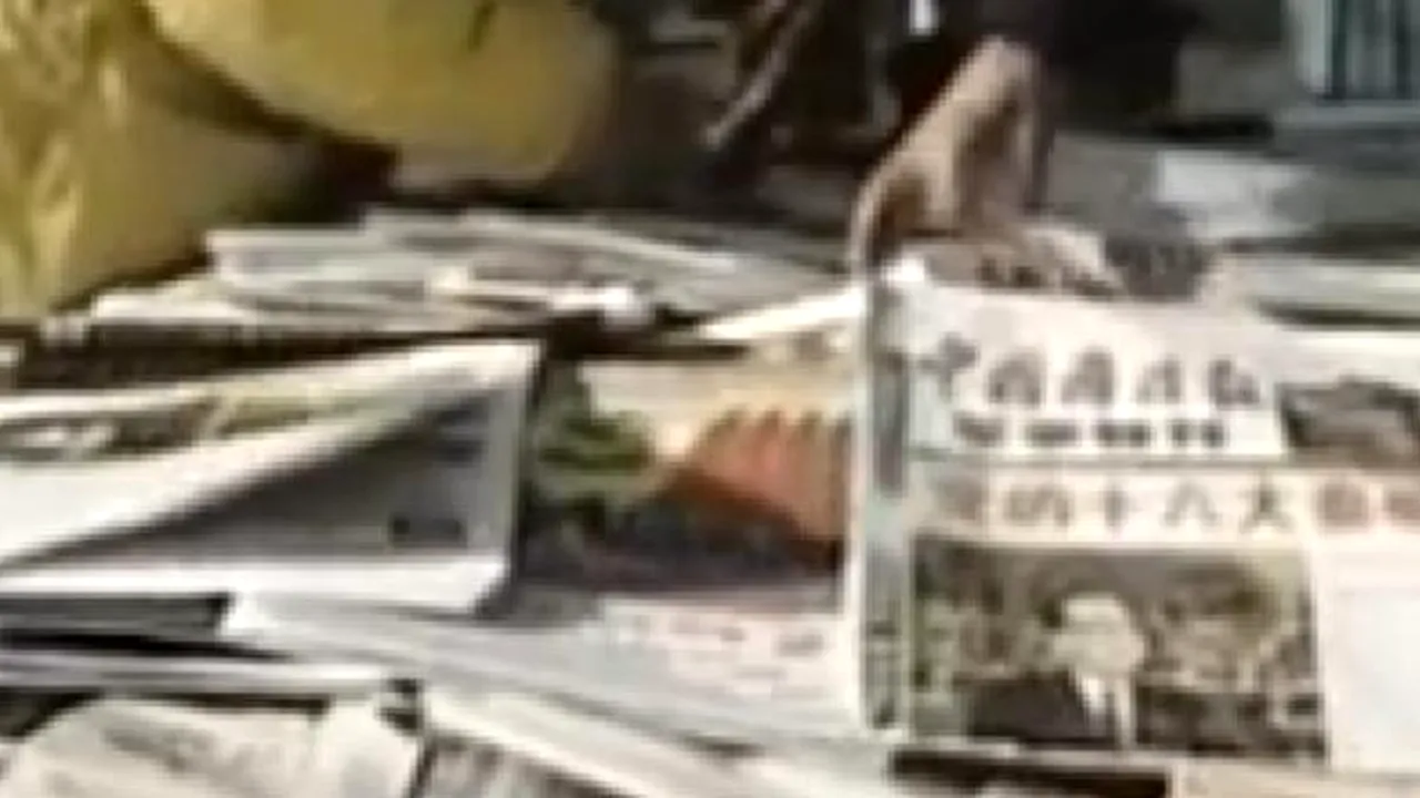 Jurnaliştii unei publicaţii importante din China fac grevă din cauza cenzurii - VIDEO 