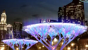 Copacii care se “hrănesc” cu CO2, soluţia împotriva încălzirii globale? - FOTO