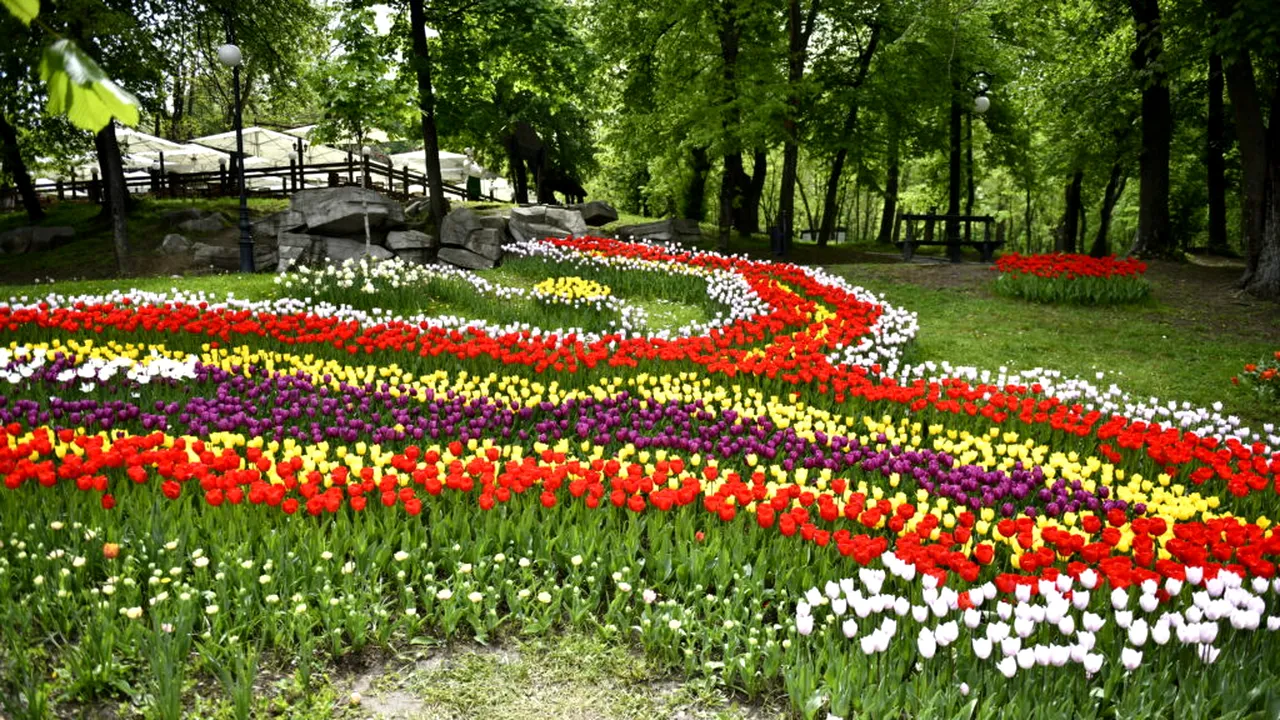 21 martie, Ziua Olteniei. Regiunea care a dat startul uneia dintre cele mai importante mișcări din istoria României