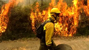 Incendiu puternic într-o zonă împădurită din Bacău: Zece hectare au fost afectate