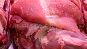 SCANDALUL cărnii de cal: Furnizorul francez vrea să dea în judecată producătorul român