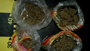 Reţea de traficanţi de droguri care se aproviziona cu canabis din Spania, destructurată