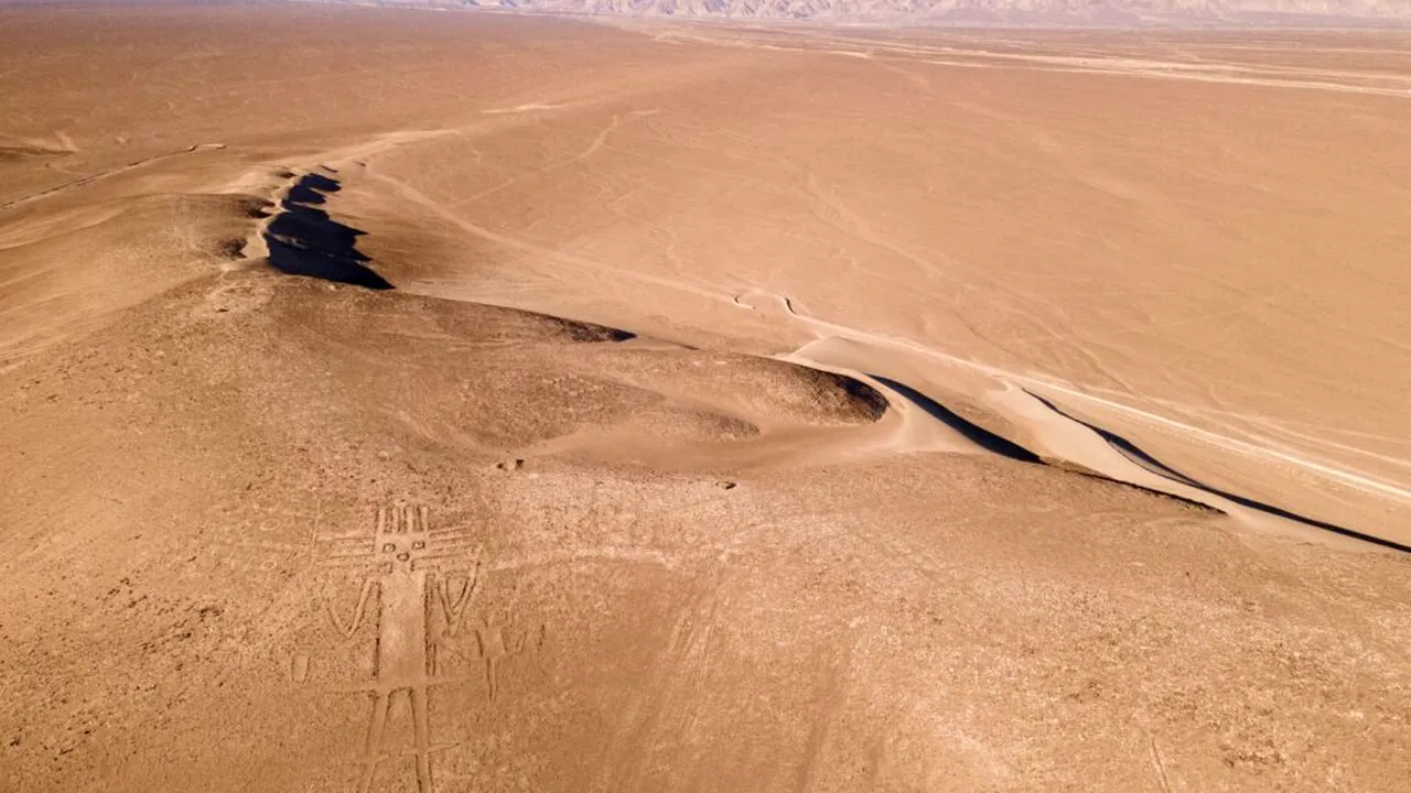 Cum se cultivă salata și lămâile în cel mai arid loc din lume?