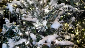 Duş emoţional, fântână de gheaţă sau vestimentaţie tipică aristocraţiei. Care sunt ofertele de sărbători pe litoral