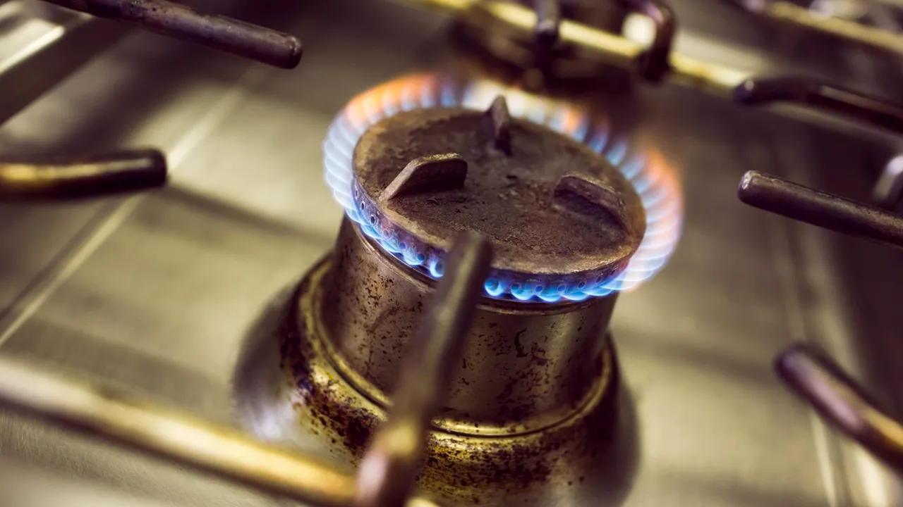 Marcel Vela: Preţurile la gaze, carburanţi, apă, salubritate, energie termică şi electrică nu pot fi majorate