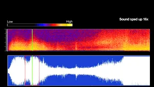 Sunetul cutremurului de 9 grade din Japonia - ASCULTĂ AICI
