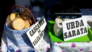 Cu ce bunătăţi sunt întâmpinaţi anul acesta turiştii la Festivalul Caşcavelei, pe Valea Doftanei