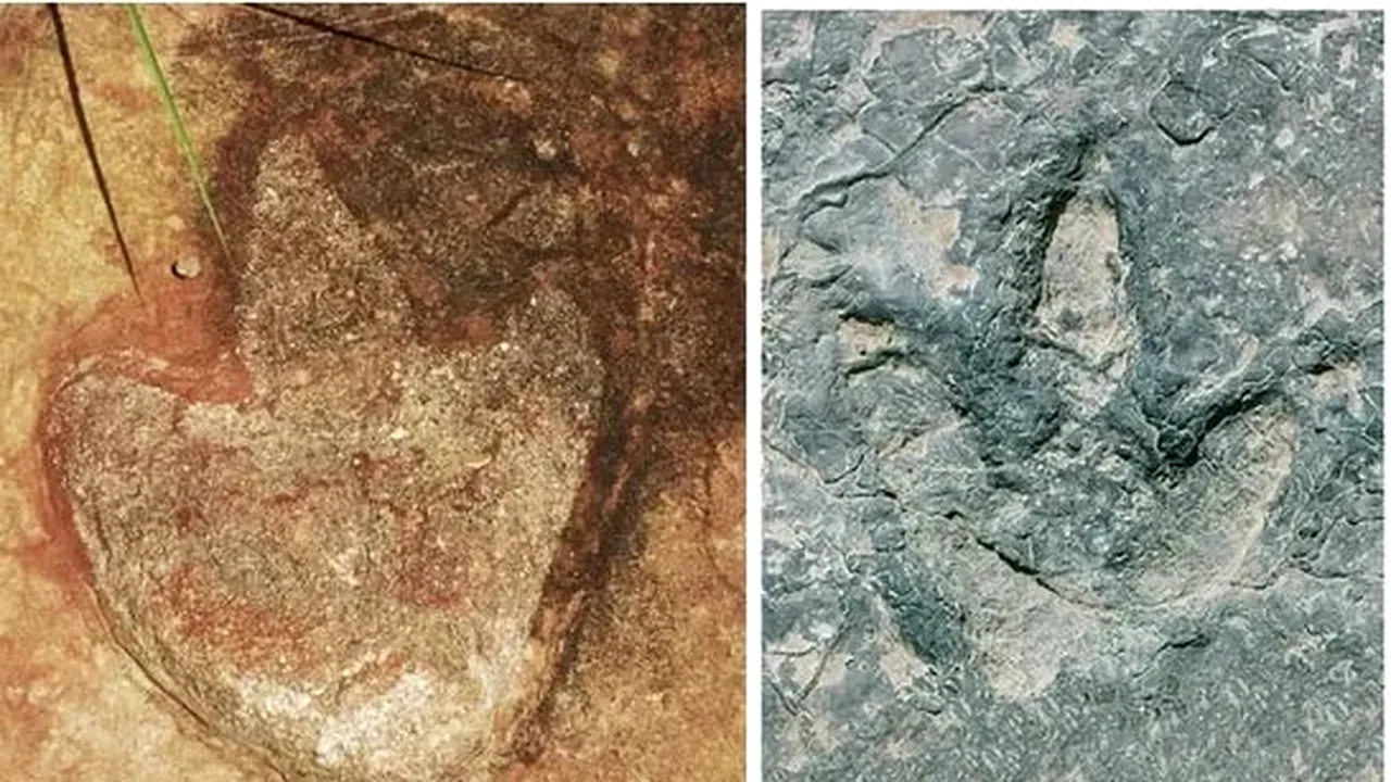 Urme de dinozauri similare dezvăluie o legătură antică între Africa şi America de Sud