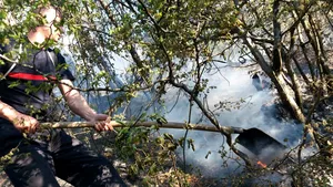 Incendiu în Parcul Naţional Domogled, pe o suprafaţă de 1.000 de metri. Un elicopter, solicitat