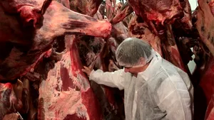 DEZBATERE GÂNDUL LIVE: Scandalul cărnii de cal. Este de vină sau nu România? 