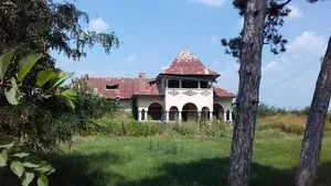 Conacul Brătienilor din Argeş, vândut pe OLX de doi italieni cu 35.000 de euro - GALERIE FOTO , VIDEO