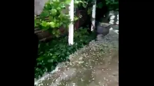 Acuzaţii la adresa autorităţilor: Oamenii au fost anunţaţi cu întârziere prin Ro-Alert despre căderile de grindină din Maramureş | VIDEO