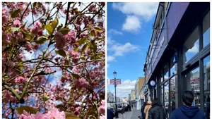 Jurnalul Anei din Londra, EPISODUL 10: 