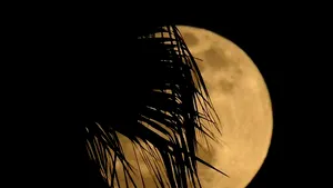 Faţa ascunsă a Lunii: Cercetătorii americani au descoperit indicii ale EXISTENŢEI APEI pe satelitul natural al Pământului