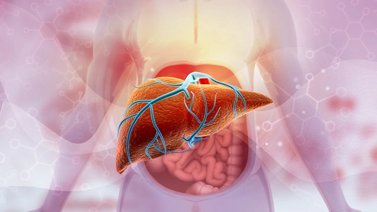 Analize hepatice și rolul lor în prevenirea bolilor ficatului (P)