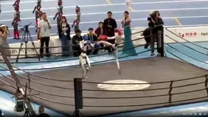 Reacție devenită virală a unui robot după ce a câștigat un meci de box în China