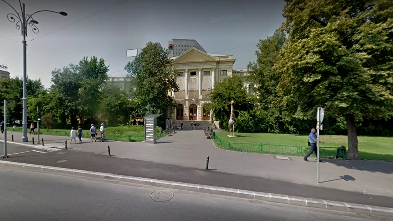Cazul terenului de la muzeul „Grigora Antipa”: Audierea în Parlament, amânată